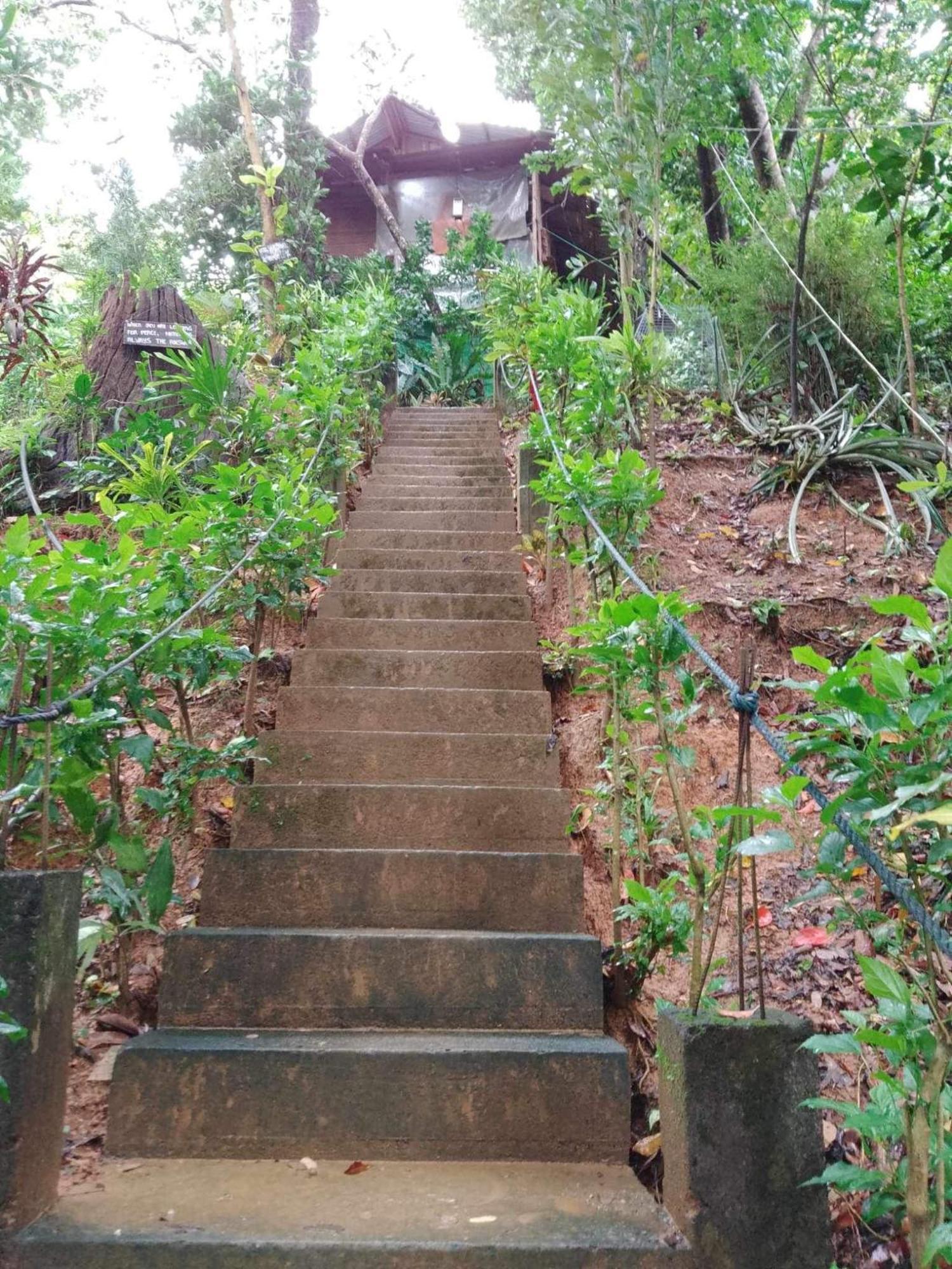 Camp Talusi Hilltop Overlooking El Nido Exterior foto
