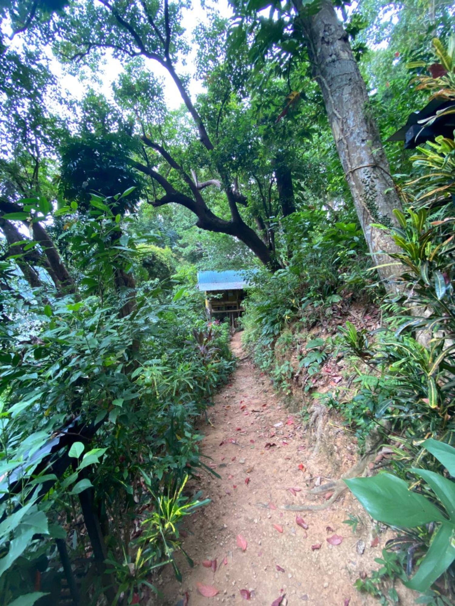 Camp Talusi Hilltop Overlooking El Nido Exterior foto