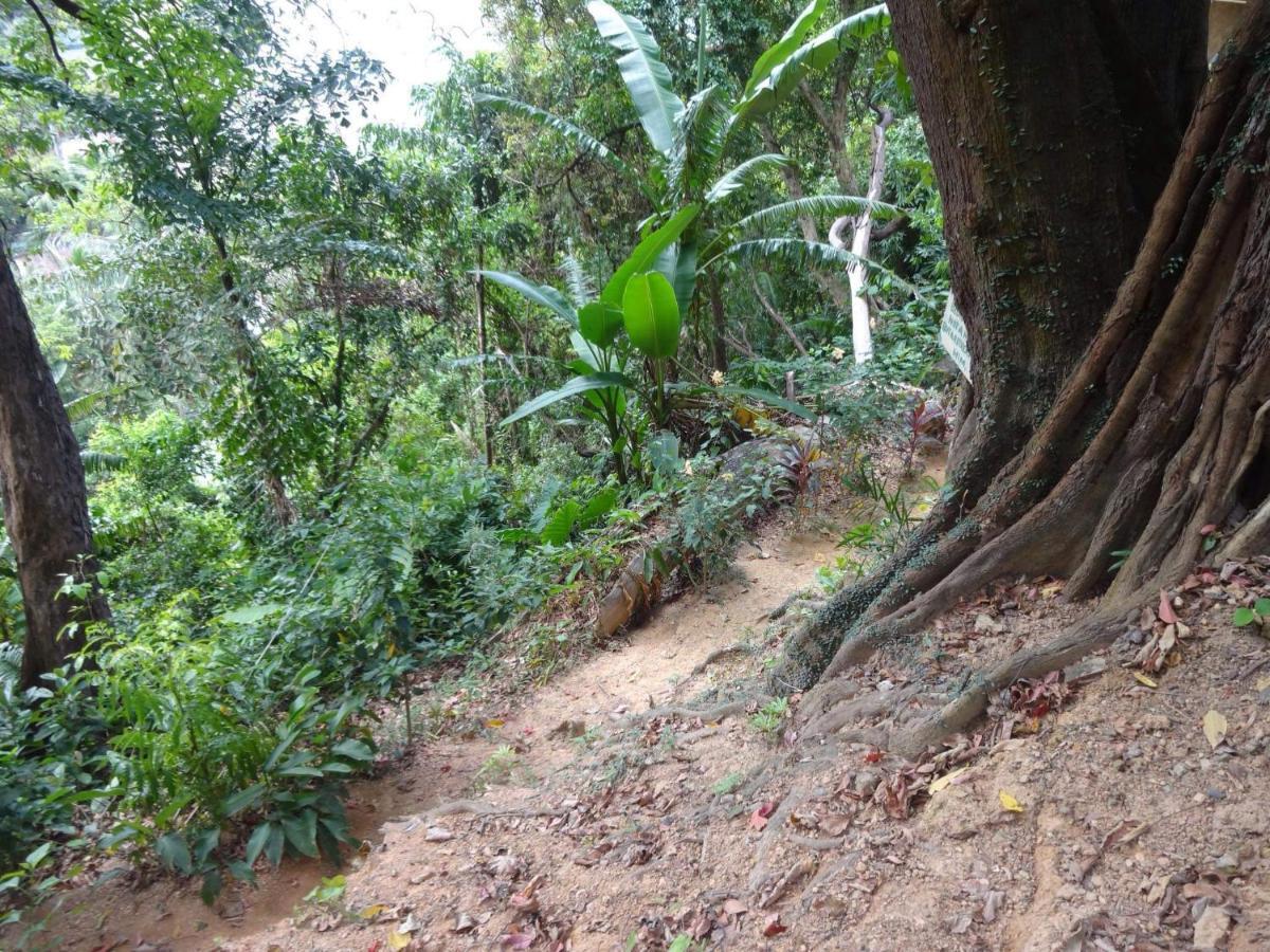 Camp Talusi Hilltop Overlooking El Nido Exterior foto